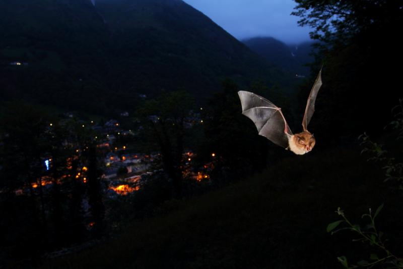 Rallumons les étoile avec le Parc national des Pyrénées