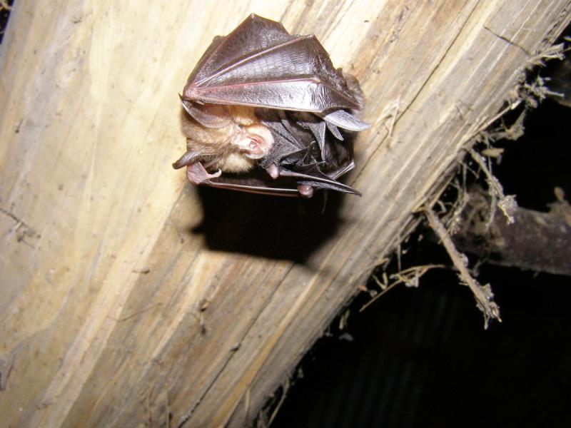 Vivre ensemble, au château de Préchac 