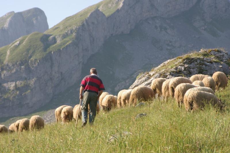 2026 : Année internationale  des parcours et des éleveurs pastoraux