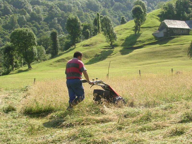 Soutien du Parc national des Pyrénées à l'agro-pastoralisme