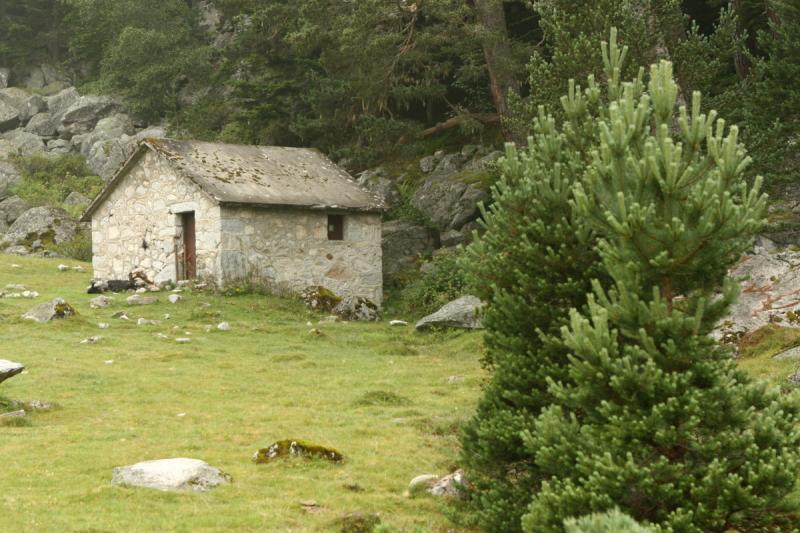 Année internationale des parcours et des éleveurs pastoraux : les animations proposées par le Parc national