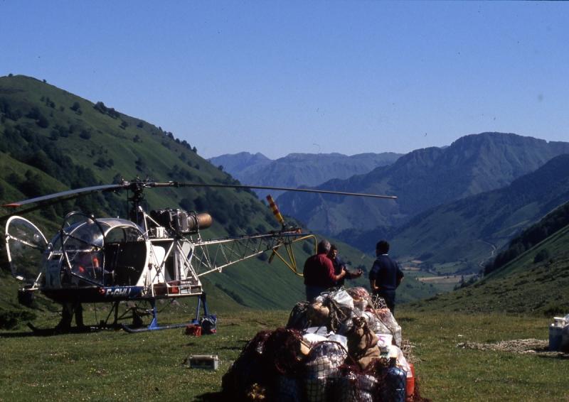 Soutien du Parc national des Pyrénées à l'agro-pastoralisme