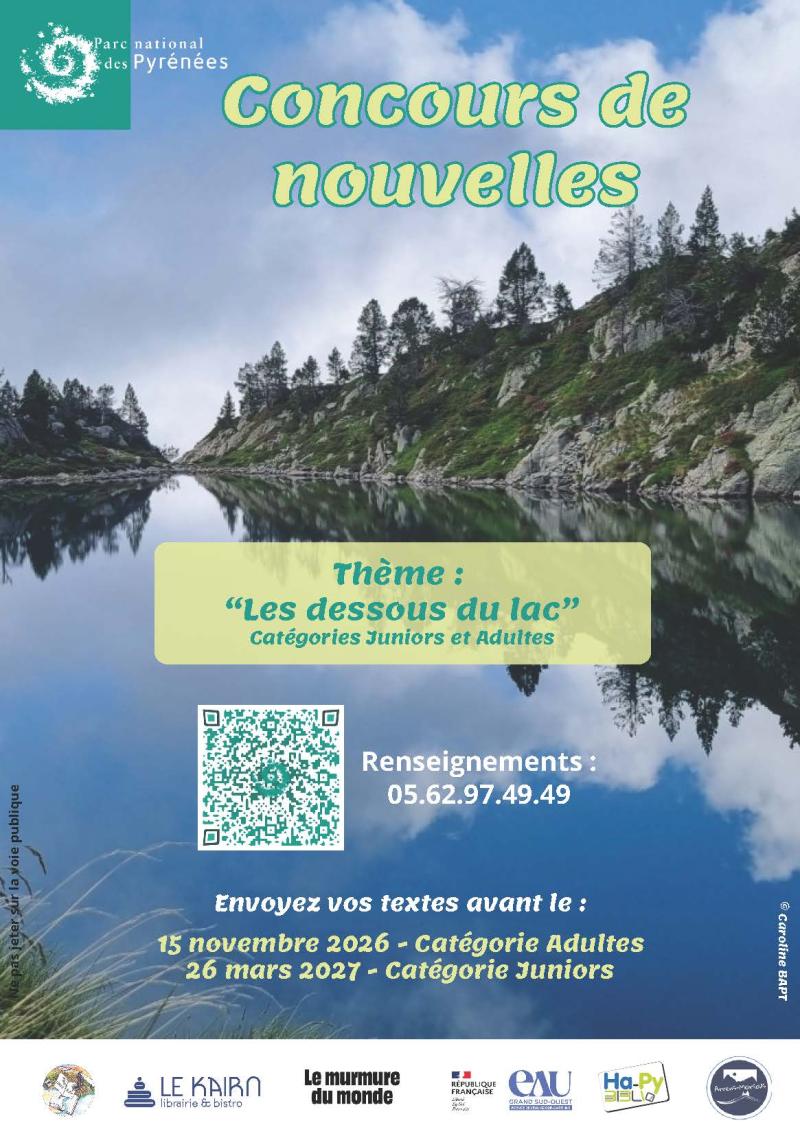 Affiche concours de nouvelles