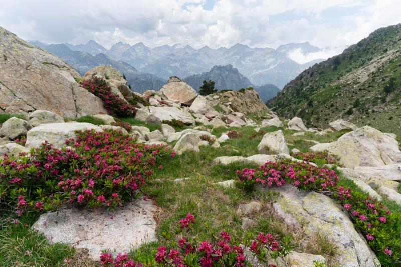 Bienvenue dans les Maisons du Parc national des Pyrénées !