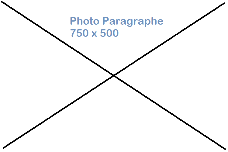blank_paragraph.png