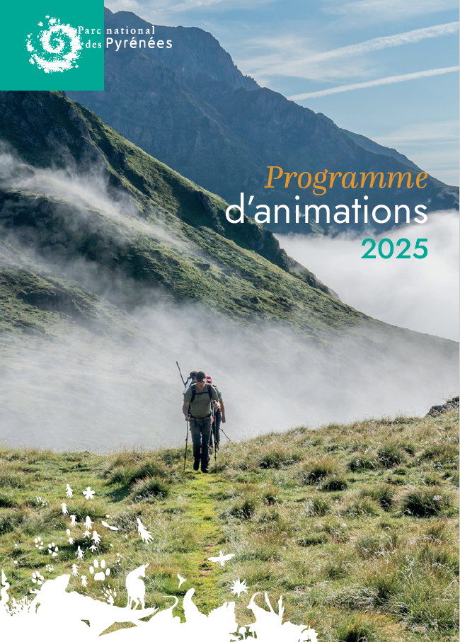 Programme animations 2025