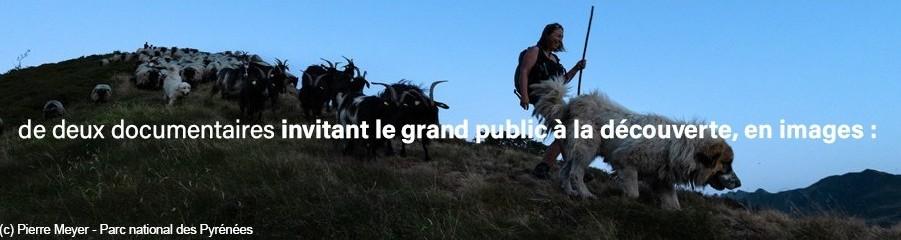 2026 : Année internationale  des parcours et des éleveurs pastoraux