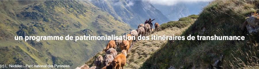 2026 : Année internationale des parcours et des éleveurs pastoraux