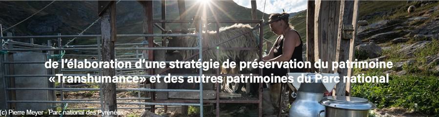 2026 : Année internationale  des parcours et des éleveurs pastoraux