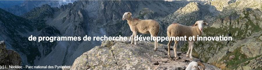 2026 : Année internationale des parcours et des éleveurs pastoraux