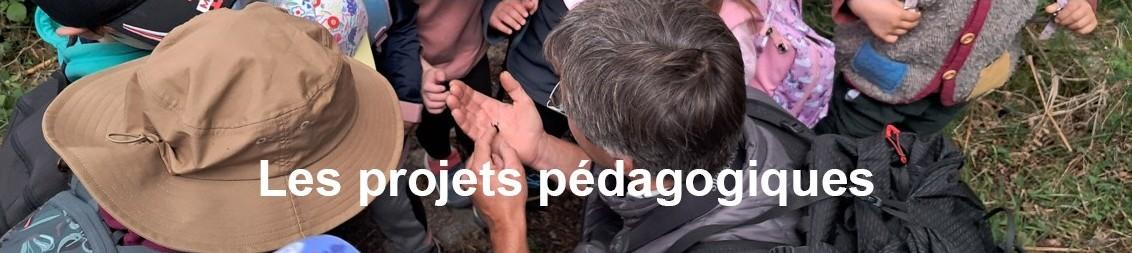 Les projets pédagogiques