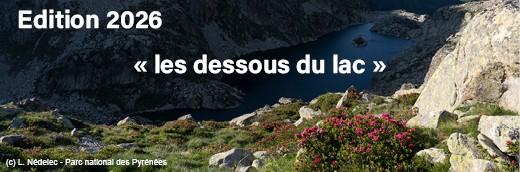 Concours nouvelles