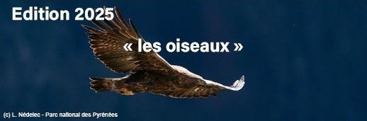 concours nouvelles