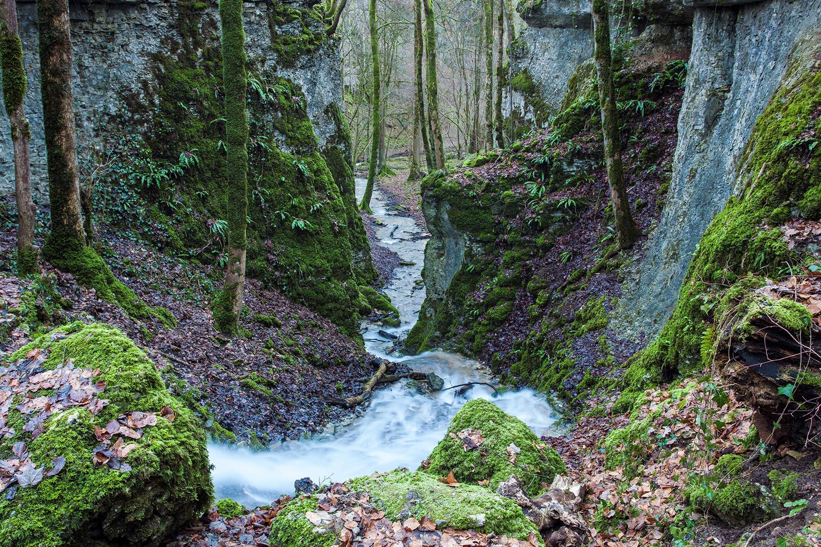 Bienvenue Au Parc National Des Forêts | Parc National Des Pyrénées