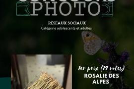 3ème prix concours photo vote du public