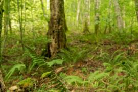 Les animations de l’ABC en terres ossaloises