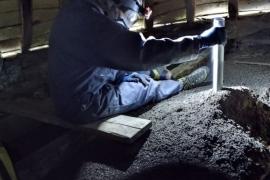 Vivre aux côtés des chauves-souris
