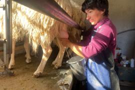 Traitement du lactosérum