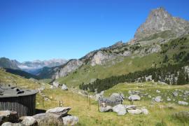 Traitement du lactosérum