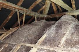 Vivre ensemble, au château de Préchac