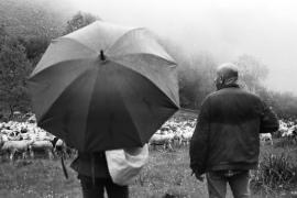 2026 : Année internationale  des parcours et des éleveurs pastoraux