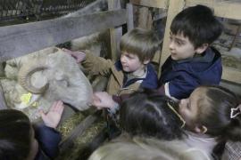 Pastoralisme, de la plaine aux estives