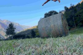 Saut au dessus une botte de foin