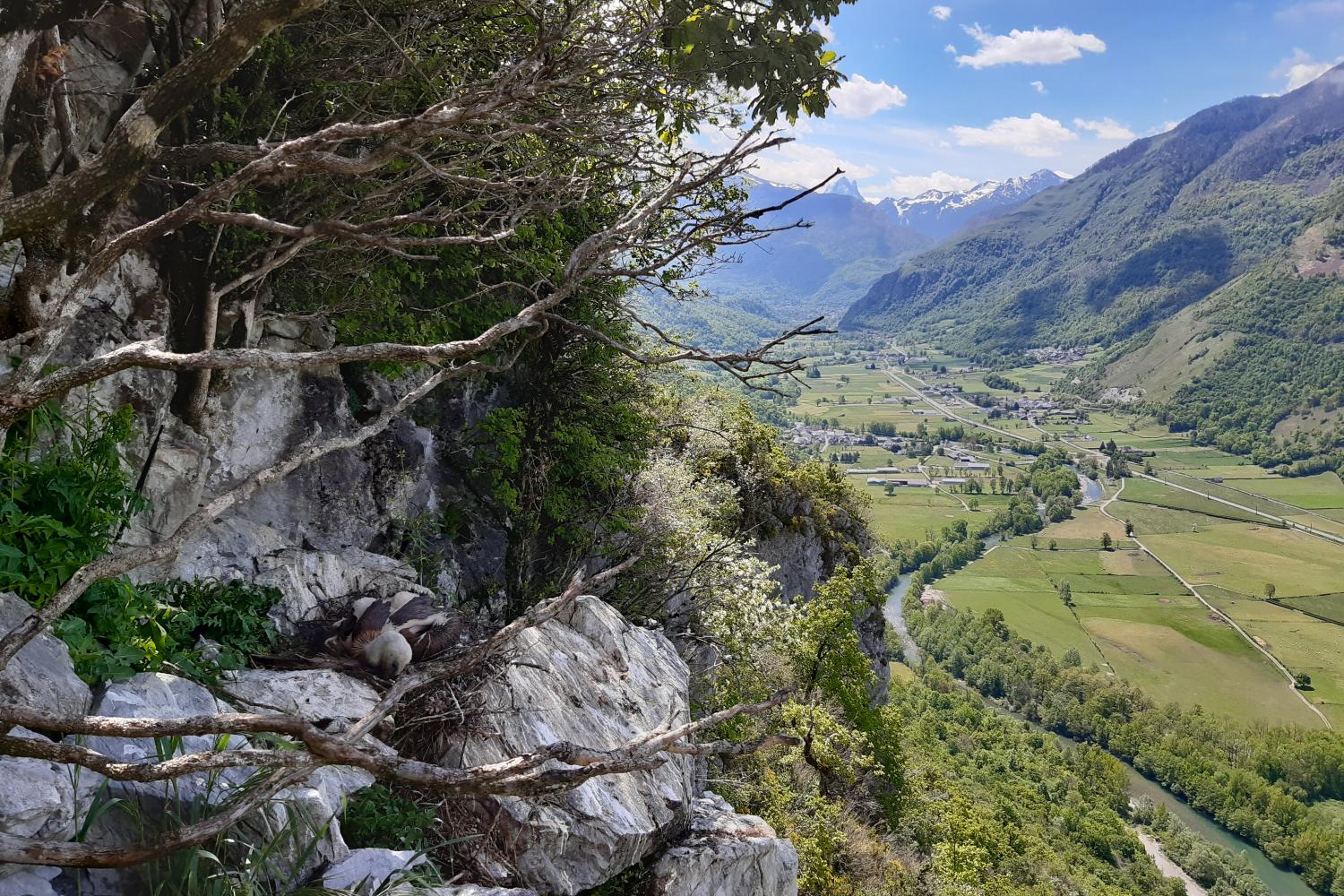 Réserve naturelle nationale d'Ossau