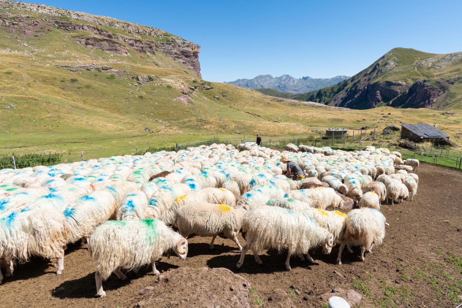 Traitement du lactosérum