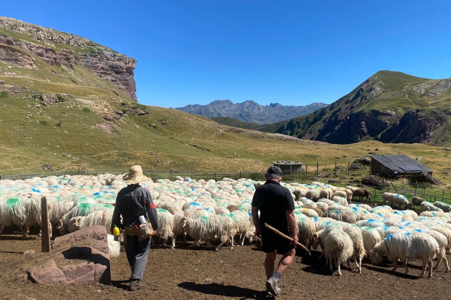Produire en préservant la biodiversité : bienvenue chez Maxime Bajas
