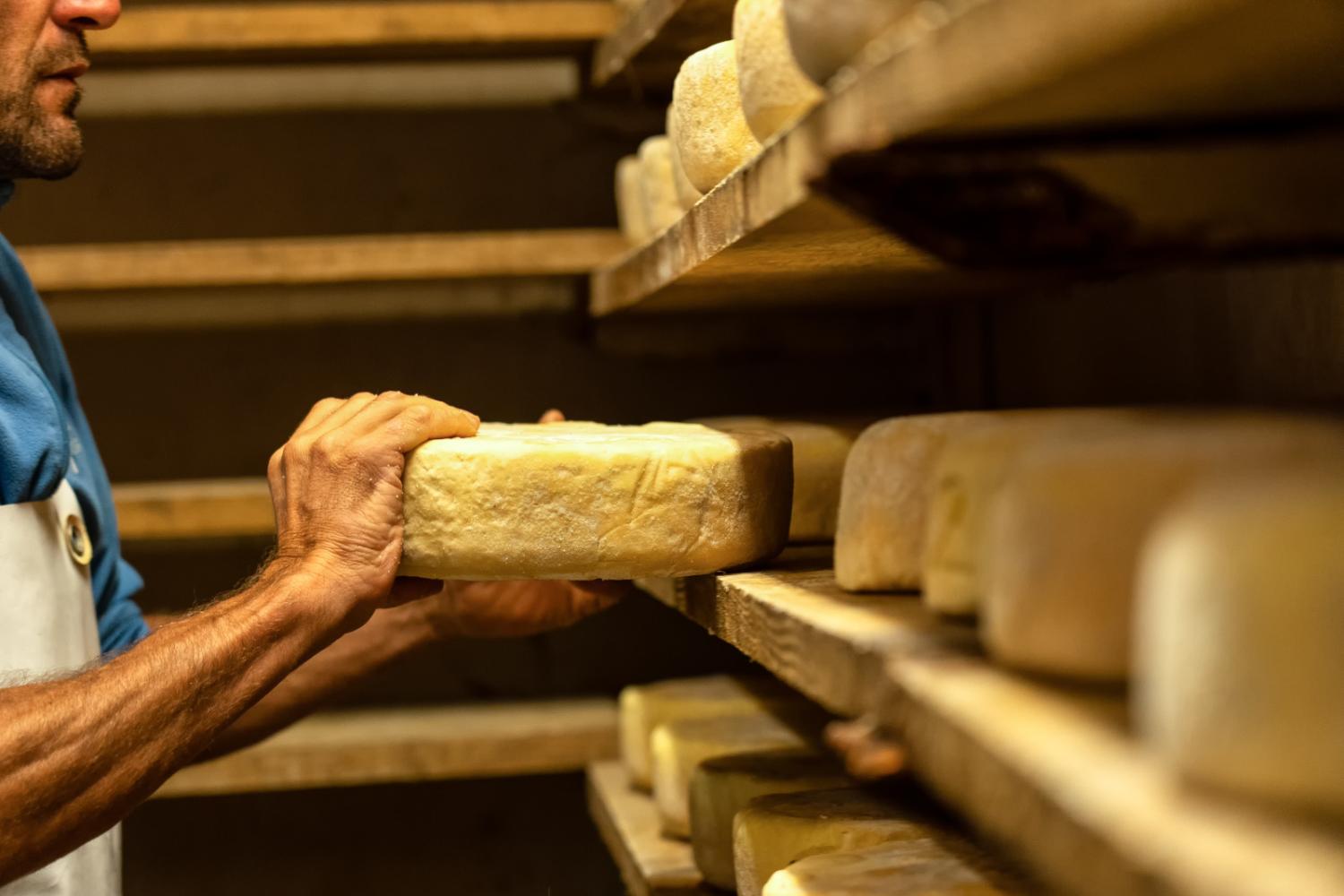 2026 : Année internationale  des parcours et des éleveurs pastoraux