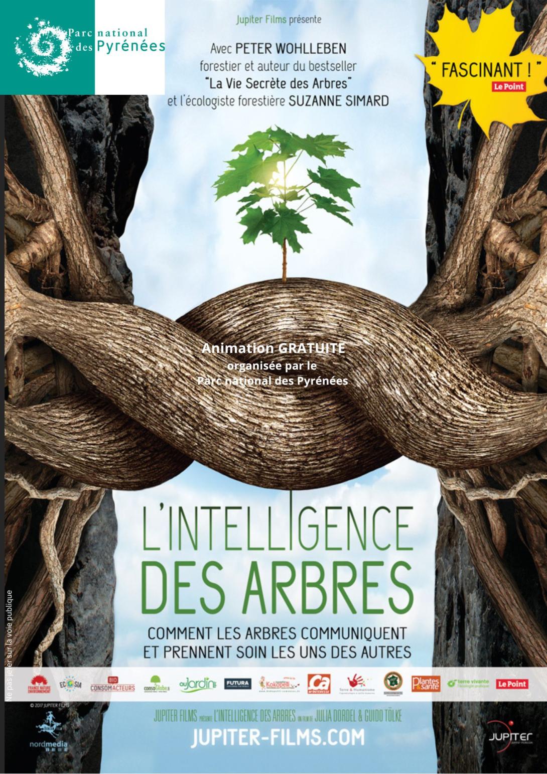 affiche intelligence des arbres