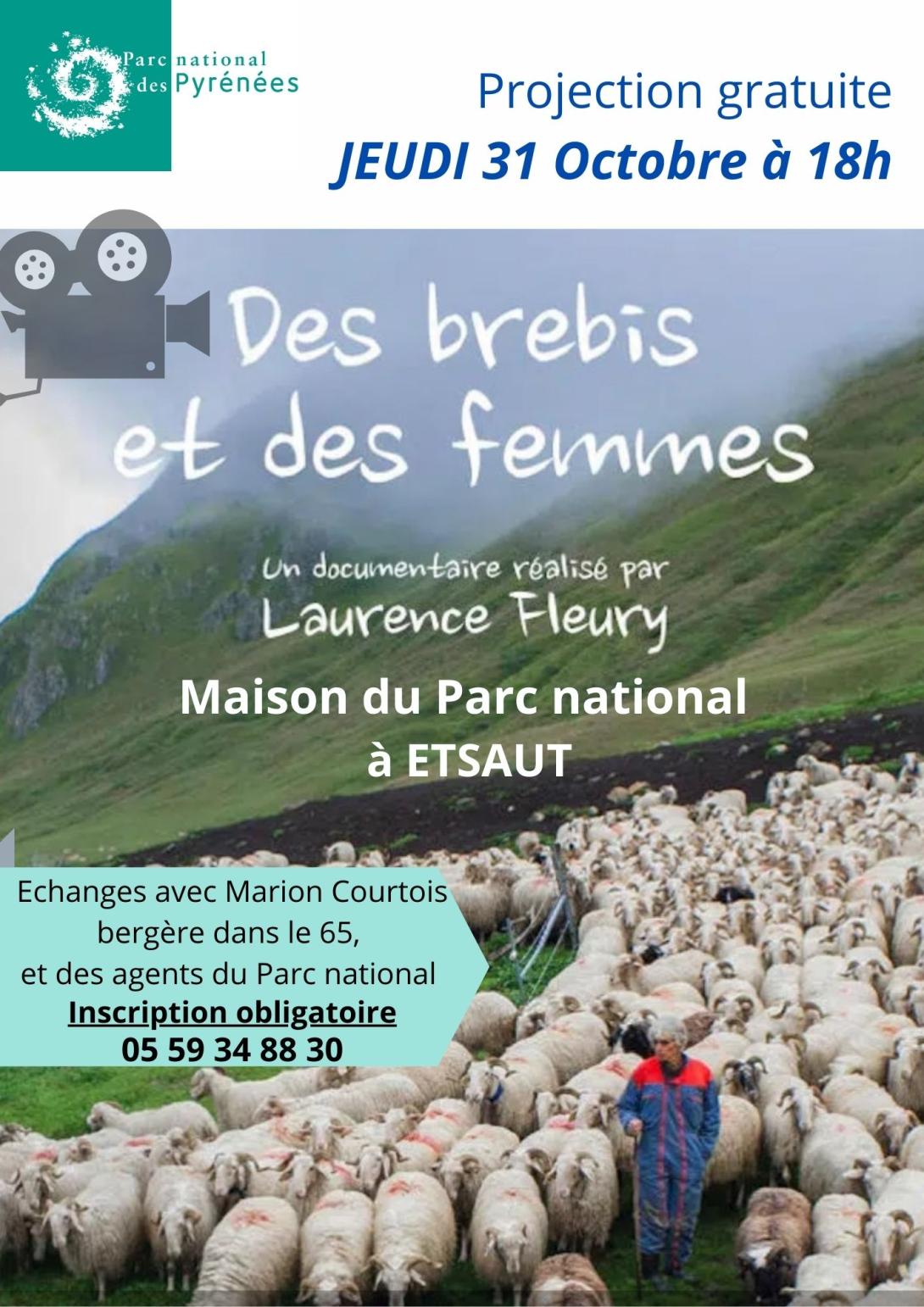 affiche des brebis et des femmes