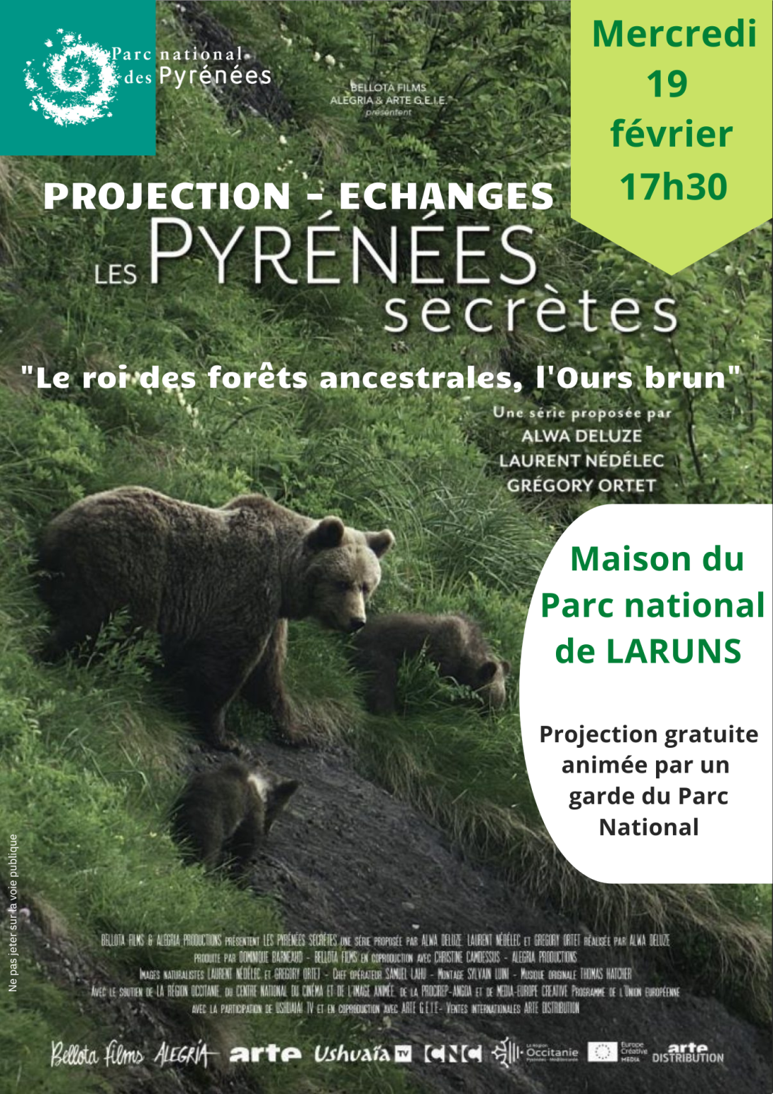 Le roi des forêts ancestrales, l'ours brun