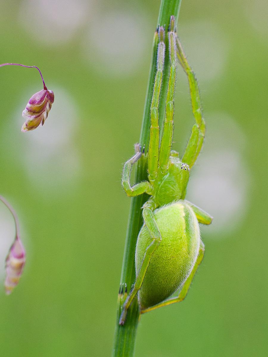 Photo d'Etienne Farand