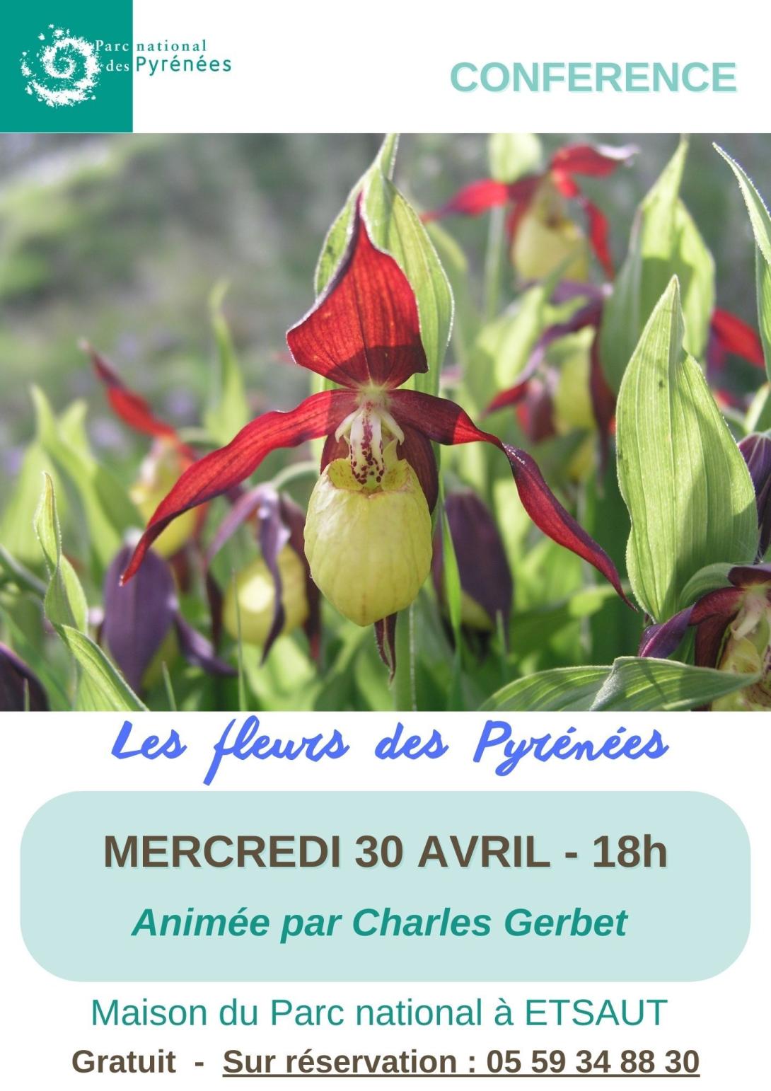 affiche flore