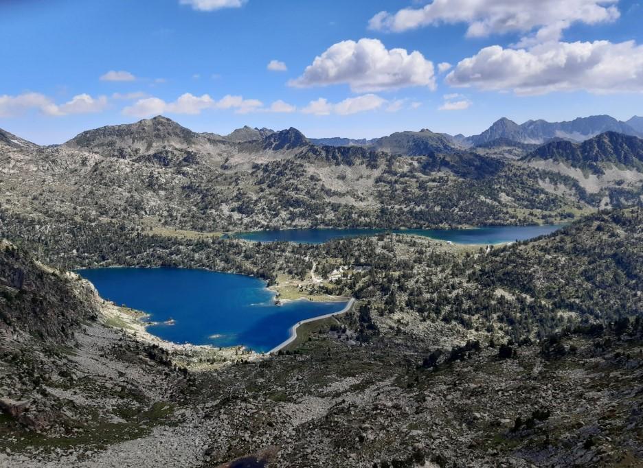 Aubert
