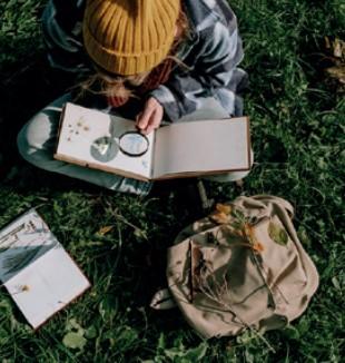 Dessiner la nature