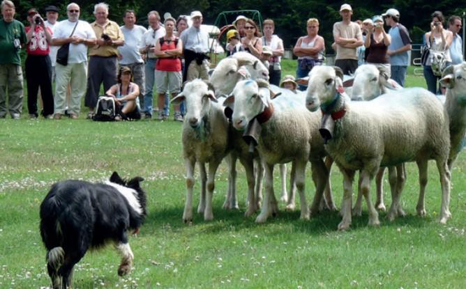 Fête écotourisme