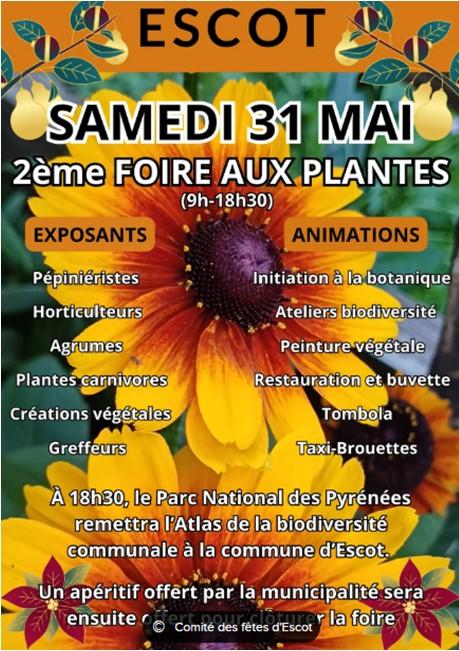 FOIRE PLANTES