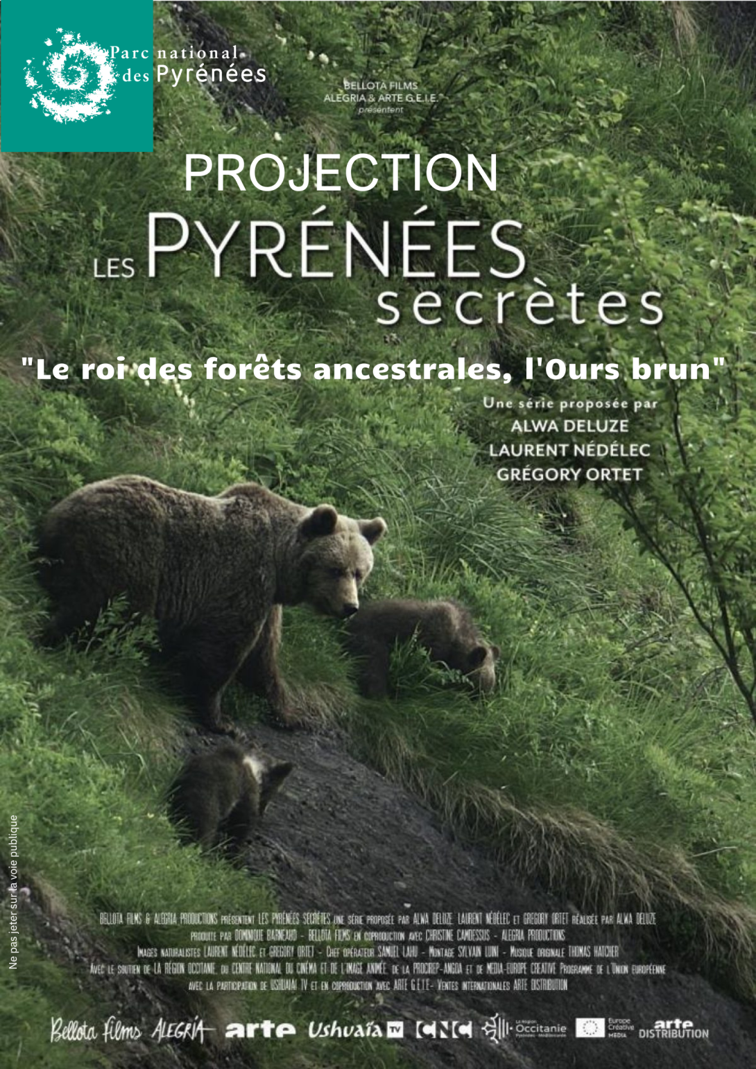 Pyrénées secrètes Ours