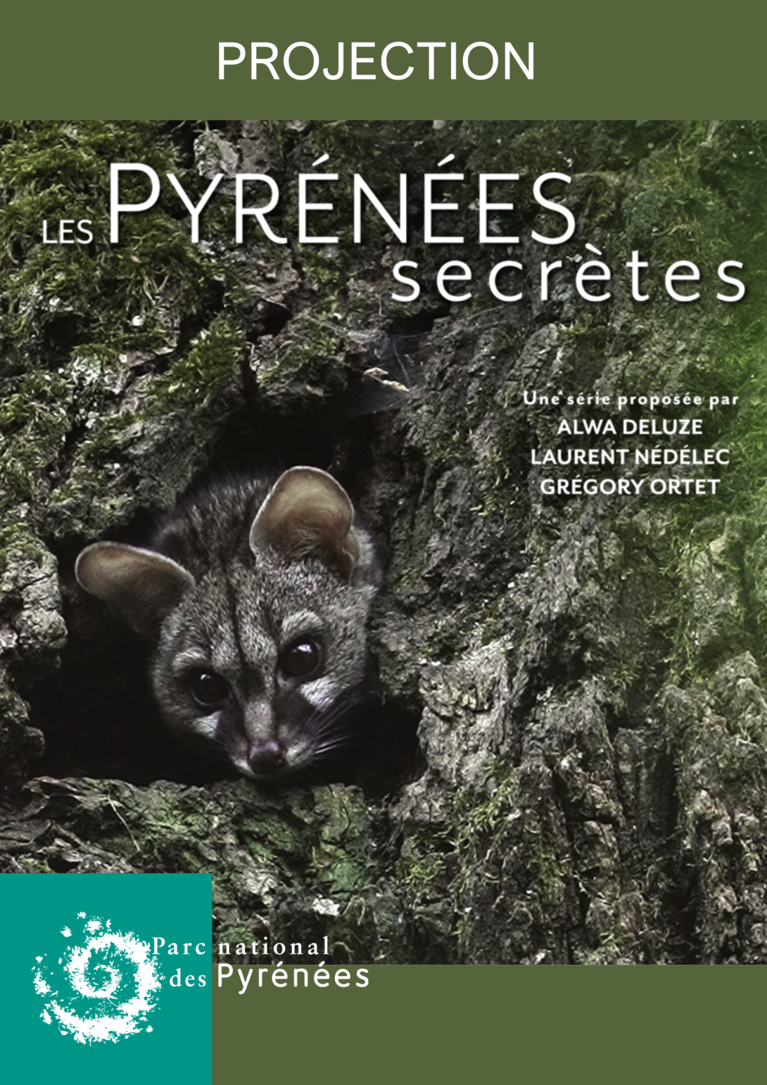 Pyrénées secrètes Genette