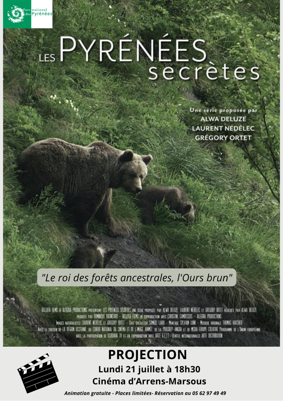 Le roi des forêts ancestrales, l'ours