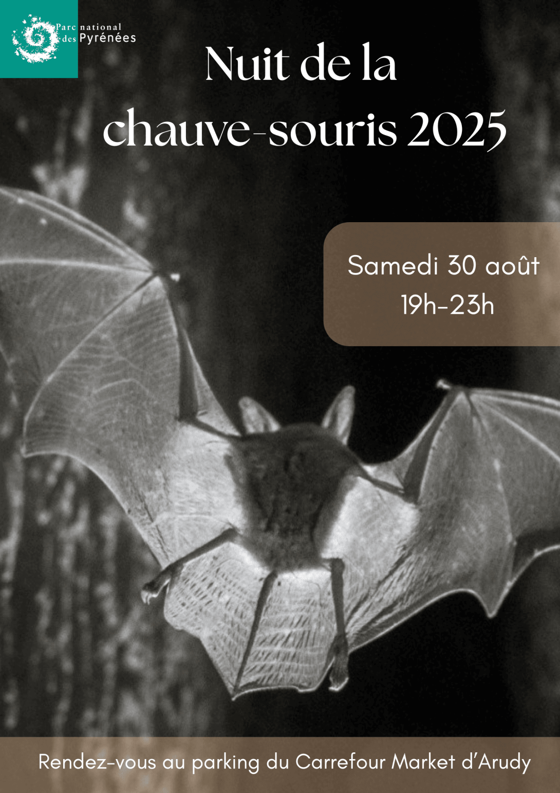 Nuit de la chauve-souris 2025