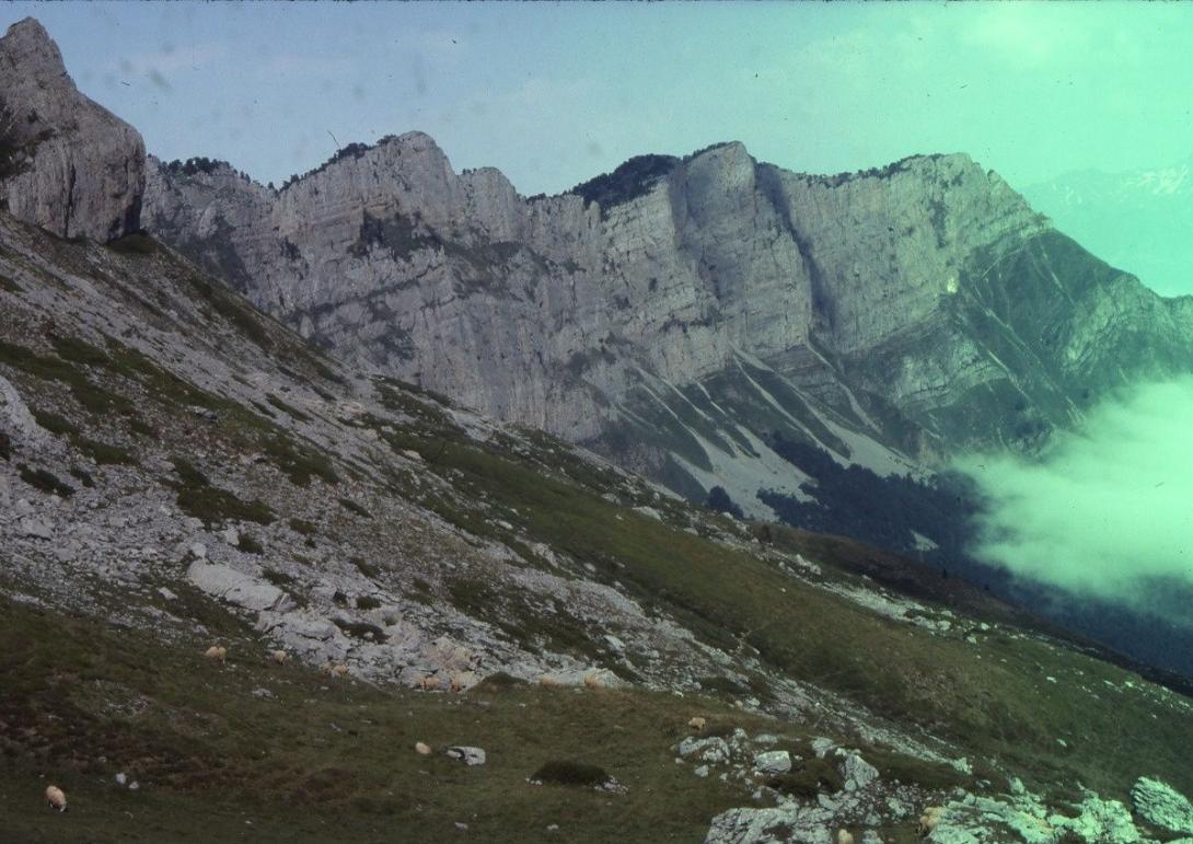 sortie glacier