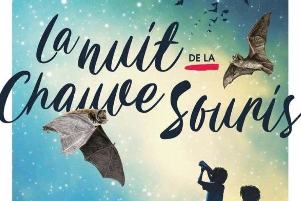 nuit chauve-souris