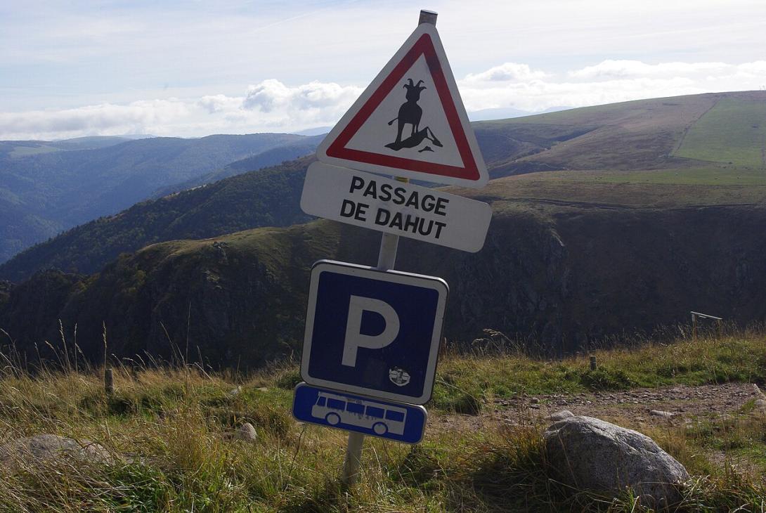 Passage de dahu