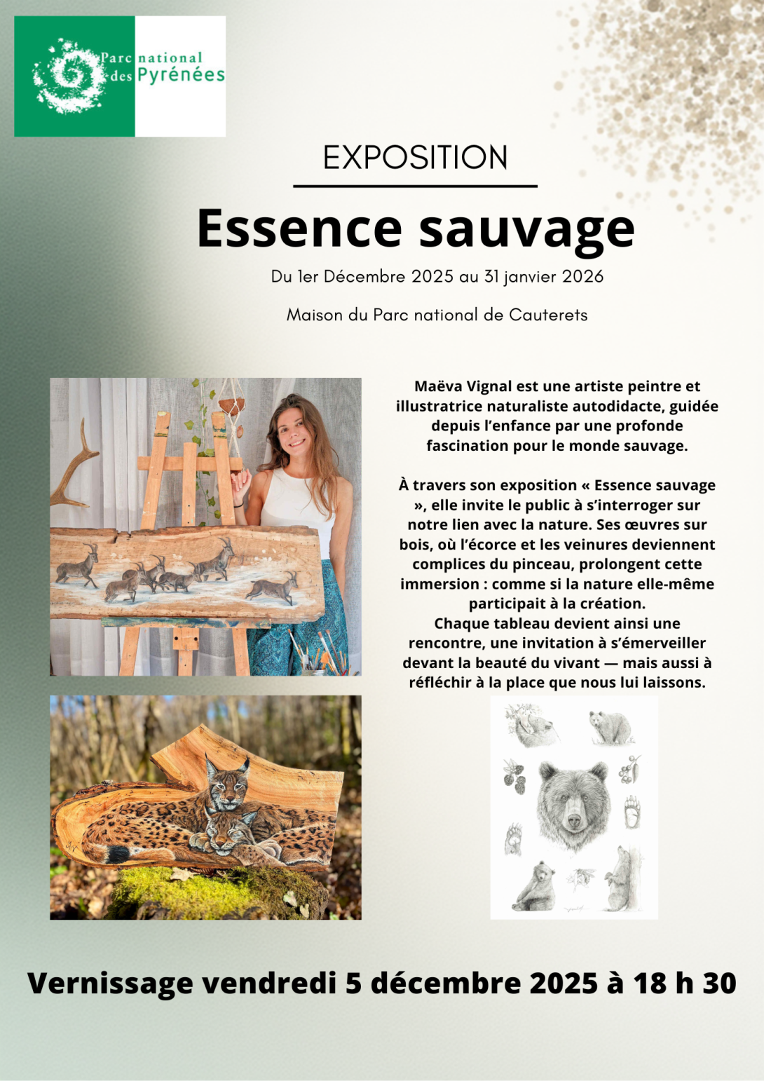 Maëva Vignal - exposition