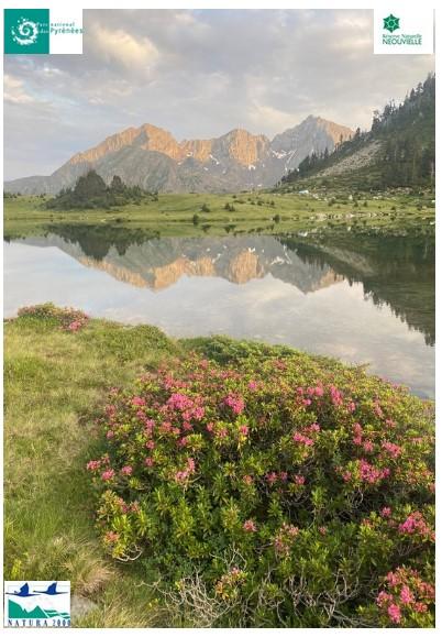 Conférence 04 08 26