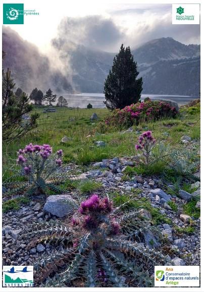 Conférence 25 08 26